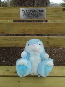 Avery's Bunnay and Bench